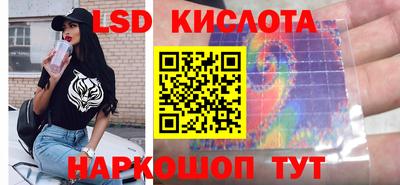стаф Краснодар