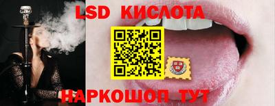 стаф Краснодар