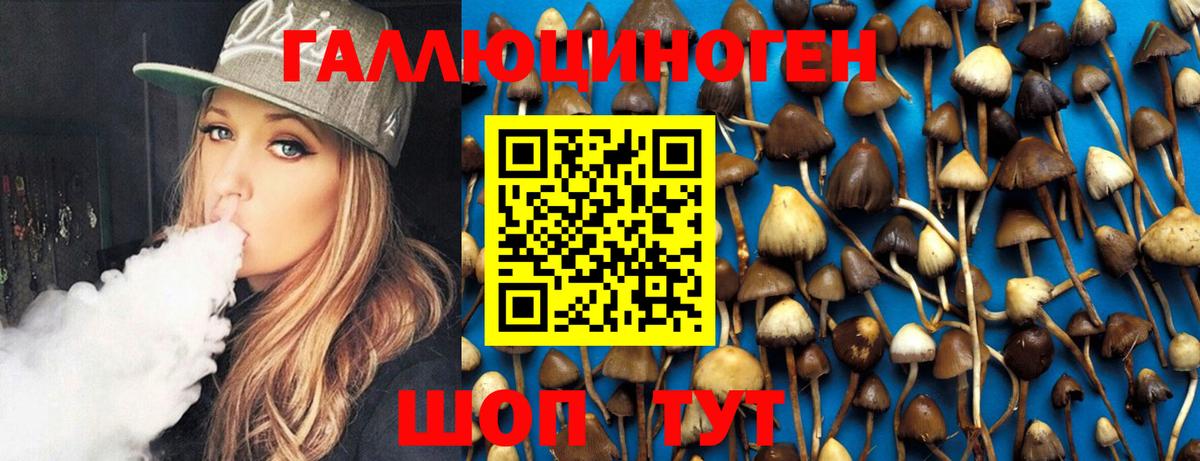 Галлюциногенные грибы MAGIC MUSHROOMS Кольчугино